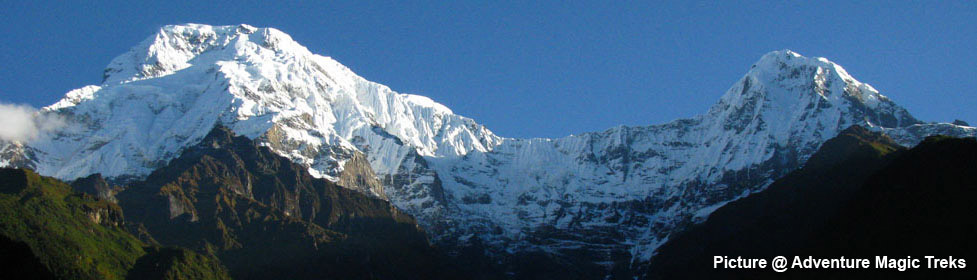 Annapurna View